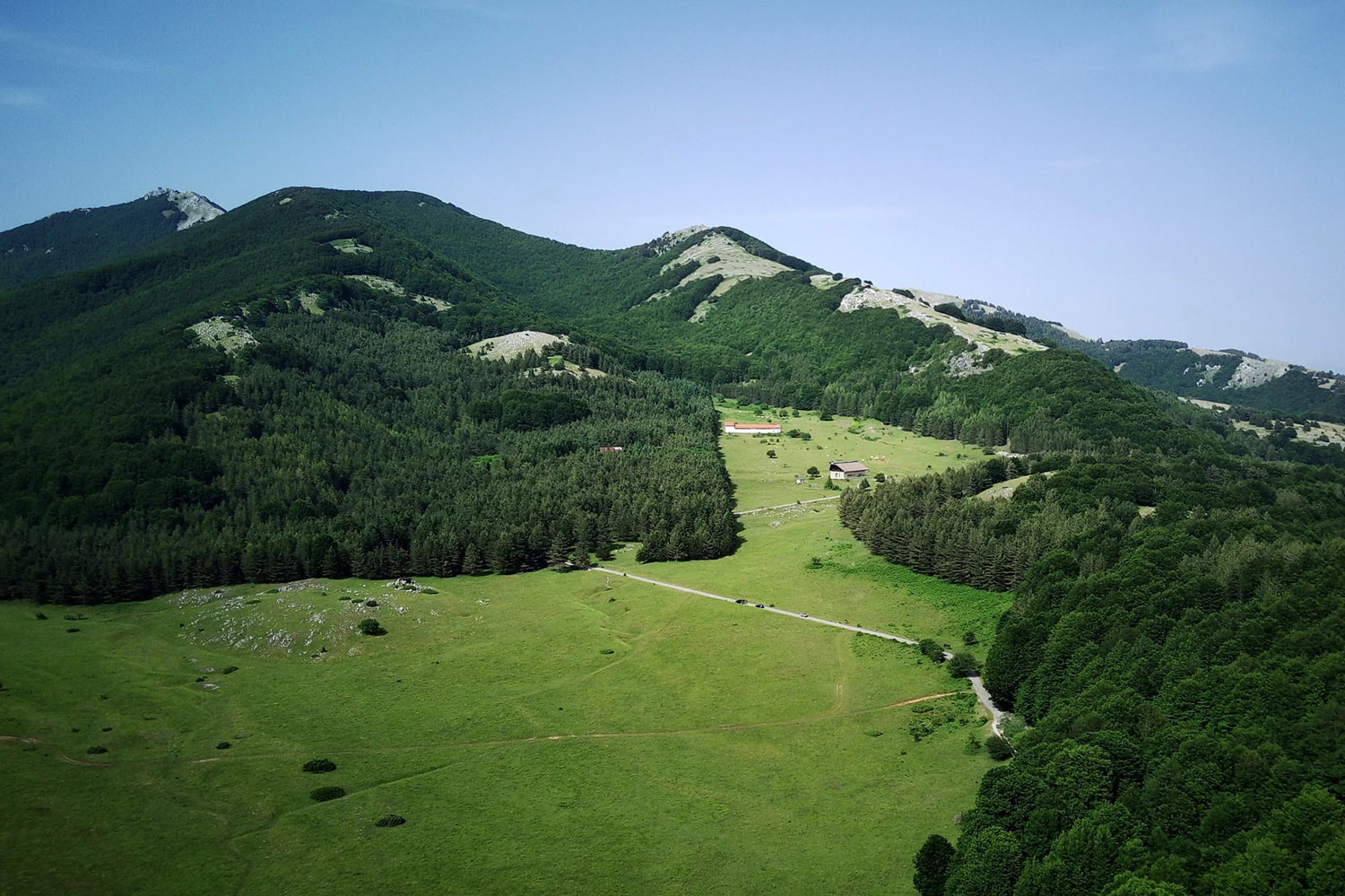 Immagine 1